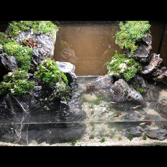 Meet your Posher, Brandon - Picture 1 of 1